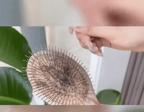 Nivoloo EasyBrush – die innovativste Haarbürste!
